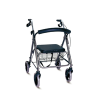 //ikrorwxhpkprlk5p-static.micyjz.com/cloud/lrbplknmlmsrjljnklipip/rollator-twa005.jpg